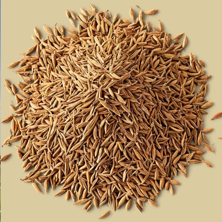 Semillas de comino para sembrar Cuminum cyminum comprar precio sobres