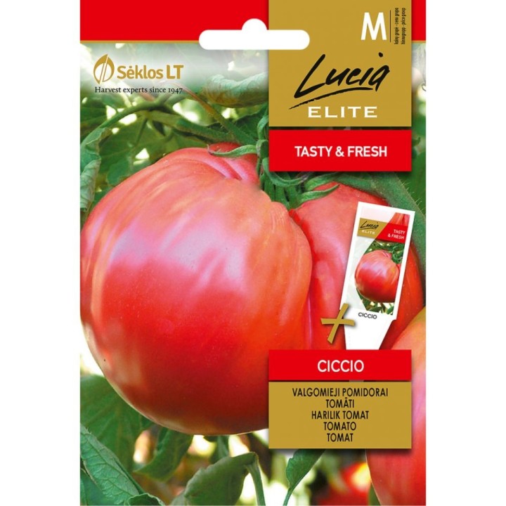 Tomate Ciccio - Semillas