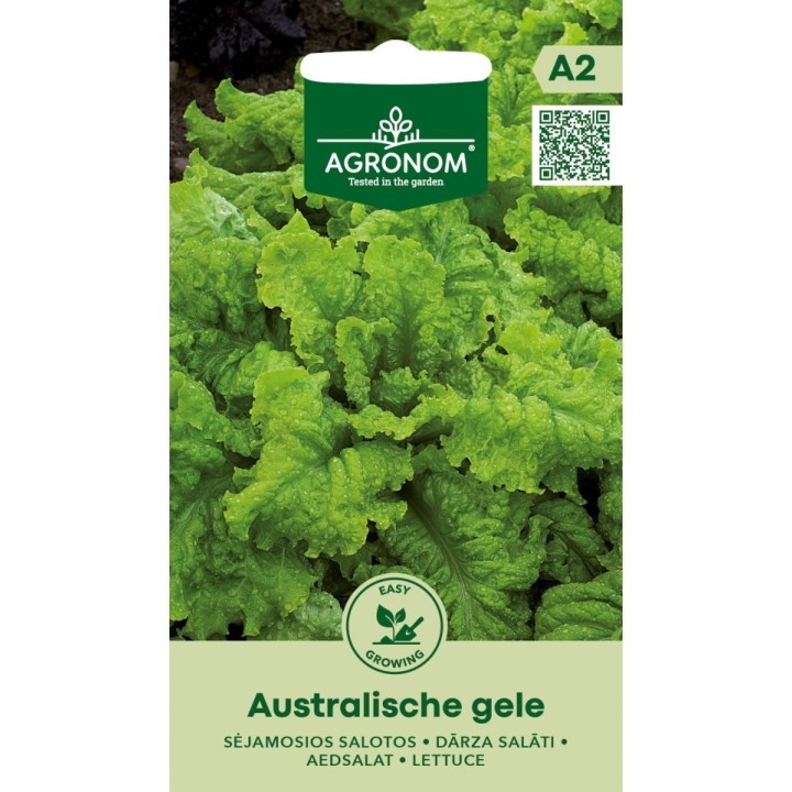 Semillas de Lechuga Hoja de Roble Roja| Tienda de semillas
