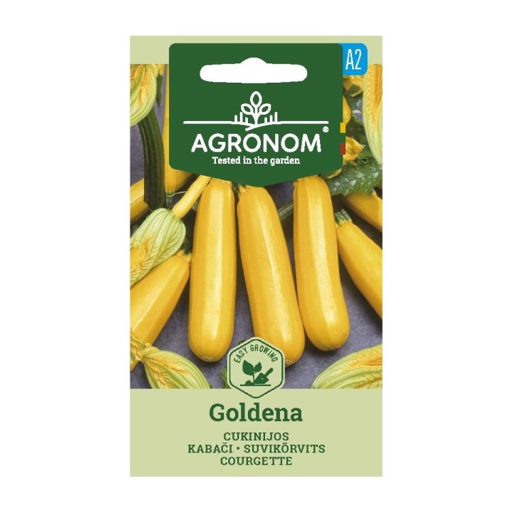 Semillas de Calabacín Goldena, variedad de color amarillo