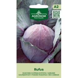 Col Roja Rufus - Semillas