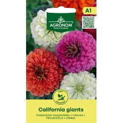 Zinnia Сalifornia Giants - Semillas