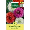 Zinnia Сalifornia Giants - Semillas