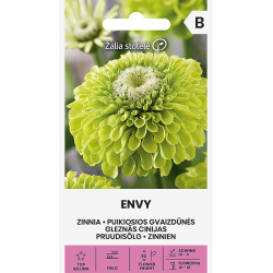 Zinnia Envy - Semillas