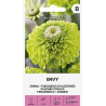 Zinnia Envy - Semillas