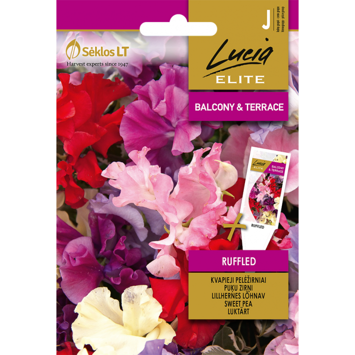 Semillas guisante olor mixto (Lathyrus odoratus) | EntreSemillas