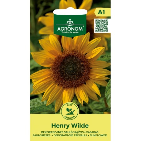 Girasol gigante, Henry Wilde - Semillas