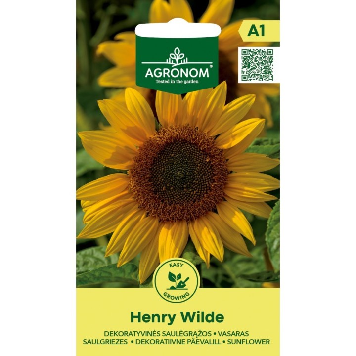 Girasol gigante, Henry Wilde - Semillas