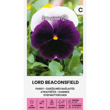 Pensamiento Lord Beaconsfield - Semillas