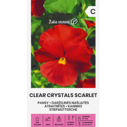 Pensamiento Clear Crystals Escarlata - Semillas