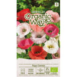 Amapola común mezcla - Semillas