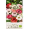 Amapola común mezcla - Semillas