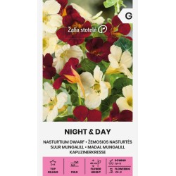 Capuchina enana Night & Day - Semillas