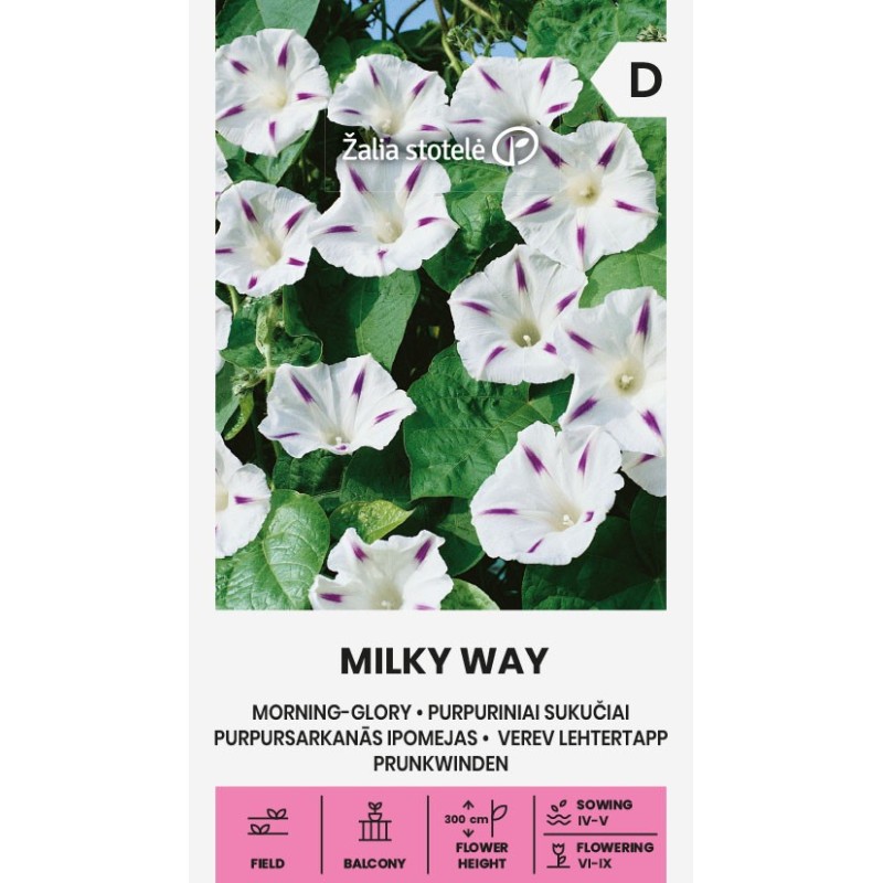 Bella de Día Milky Way - Semillas