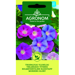 Bella de día - Semillas