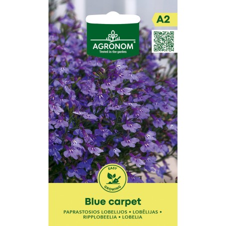 Lobelia Alfombra Azul - Semillas