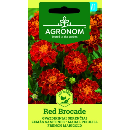 Tagete, Brocado rojo - Semillas