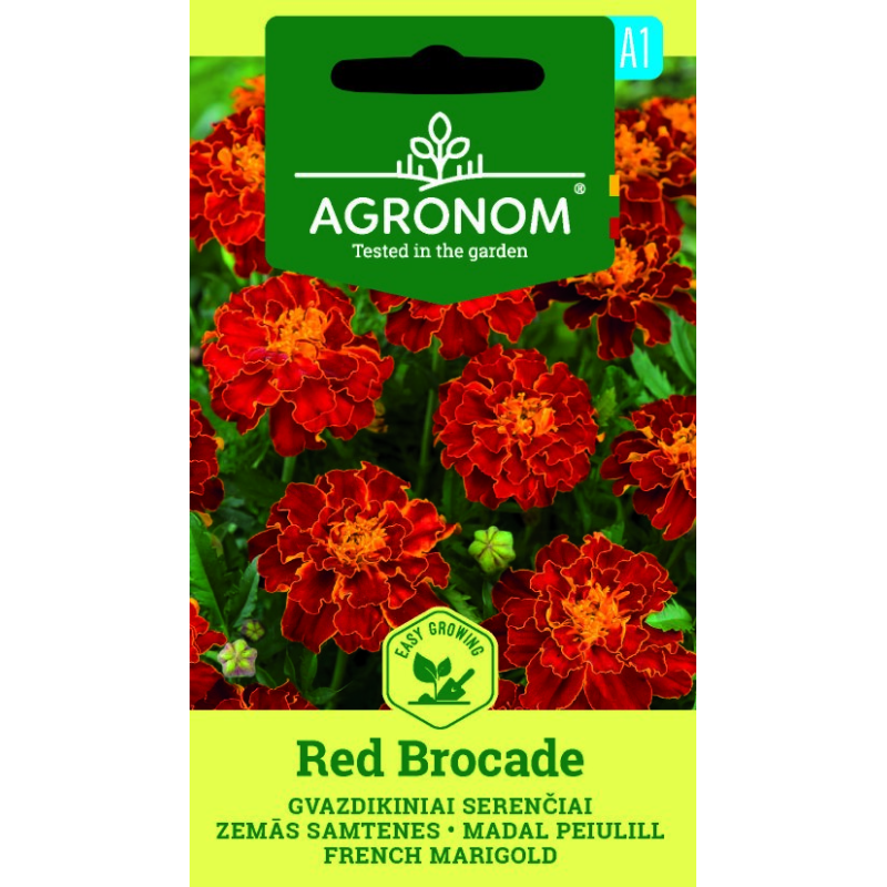 Tagete, Brocado rojo - Semillas