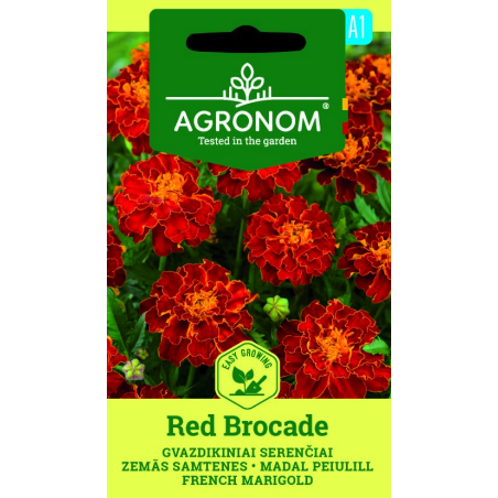 Tagete, Brocado rojo - Semillas