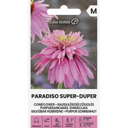 Equinácea Paradiso Super-Duper - Semillas