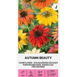 Equinácea Autumn Beauty - Semillas