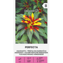 Amaranto Perfecta - Semillas