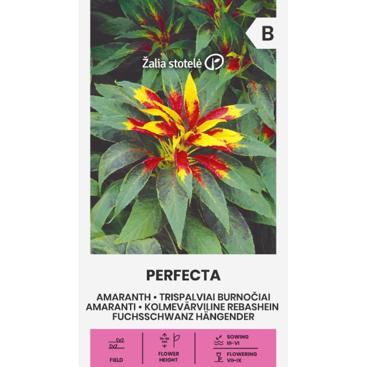 Amaranto Perfecta - Semillas