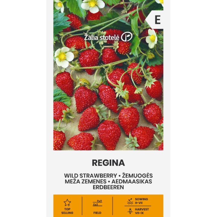 Fresa silvestre Regina - Semillas