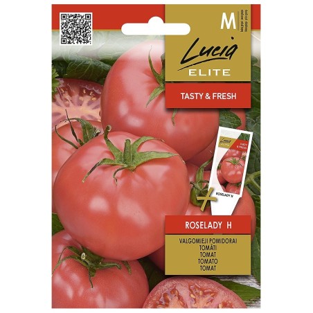 Tomate Roselady H - Semillas