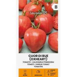 Tomate Corazón de buey - Semillas