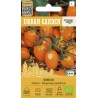 Tomate Ormato - Semillas