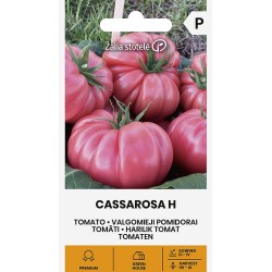 Tomate Cassarosa H - Semillas