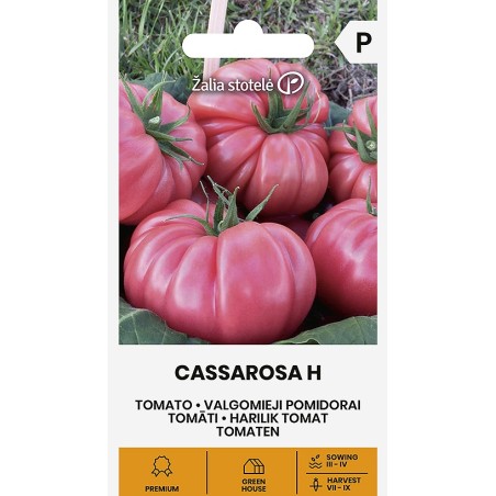 Tomate Cassarosa H - Semillas