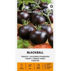 Tomate Blackball - Semillas