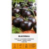 Tomate Blackball - Semillas