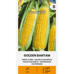 Maíz dulce Golden Bantam - Semillas