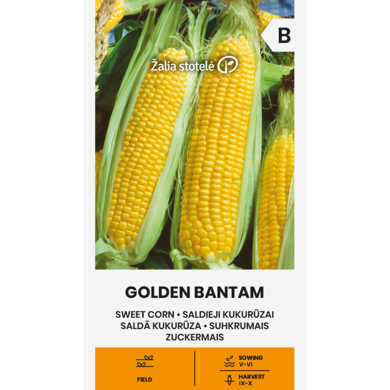 Maíz dulce Golden Bantam - Semillas