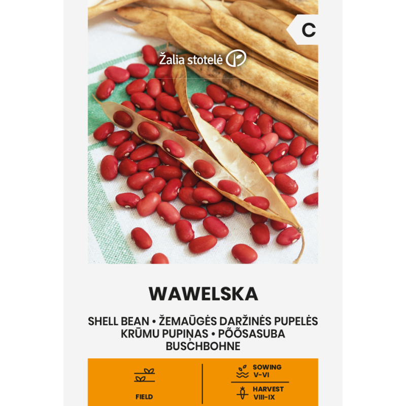Judía Wawelska - Semillas
