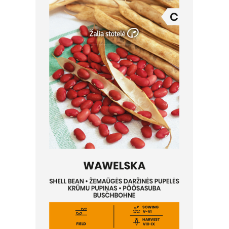 Judía Wawelska - Semillas