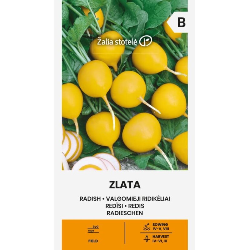 Rábano Zlata - Semillas