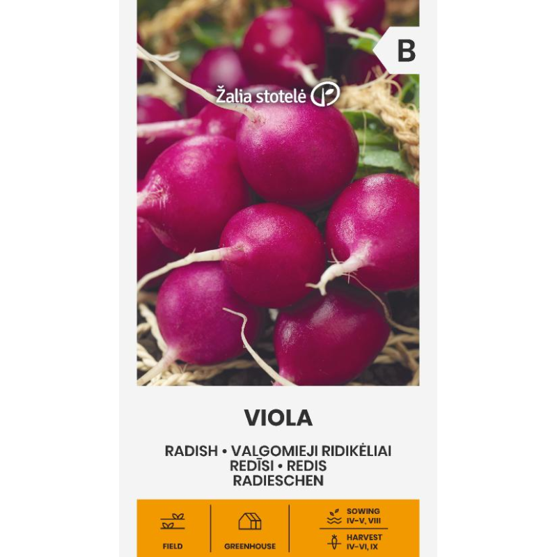 Rábano Viola - Semillas