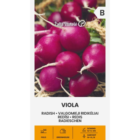 Rábano Viola - Semillas