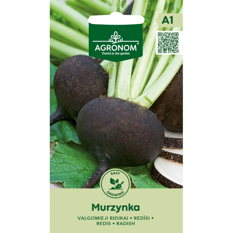 Rábano Murzynka - Semillas