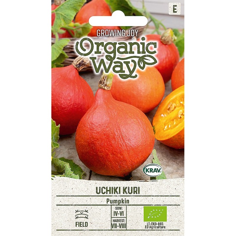 Calabaza Uchiki Kuri - Semillas