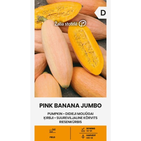 Calabaza Pink Banana Jumbo - Semillas