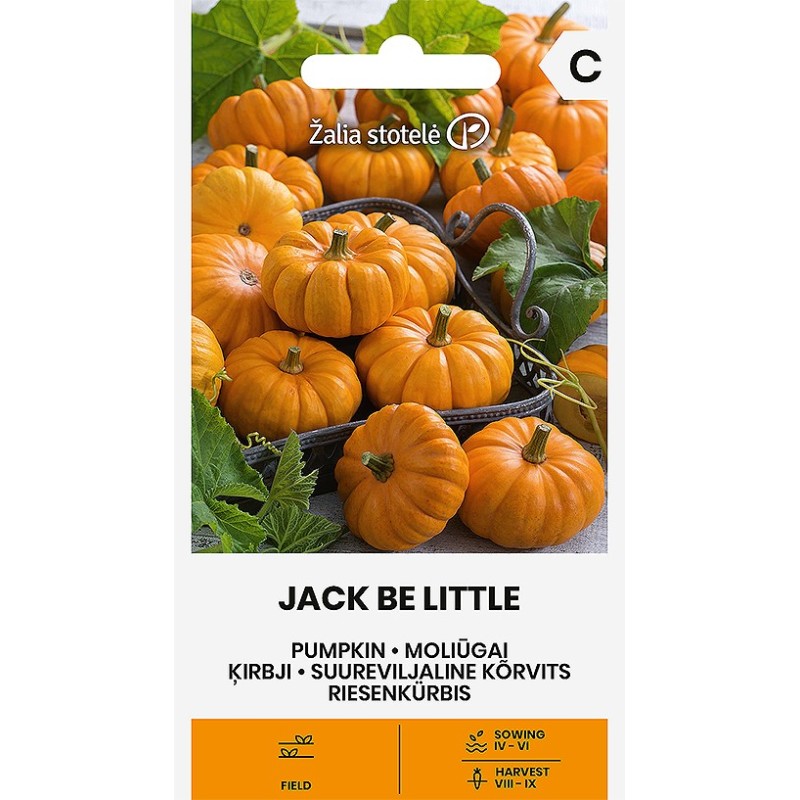 Calabaza Jack Be Little - Semillas