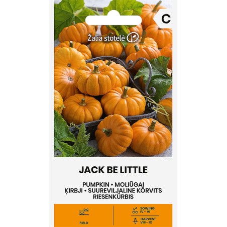 Calabaza Jack Be Little - Semillas