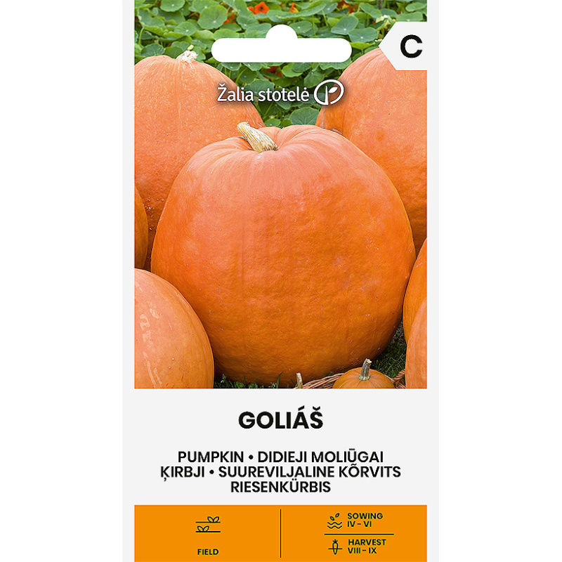 Calabaza Goliáš - Semillas