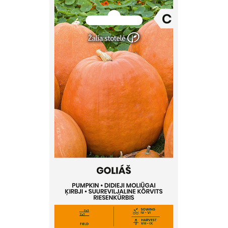 Calabaza Goliáš - Semillas