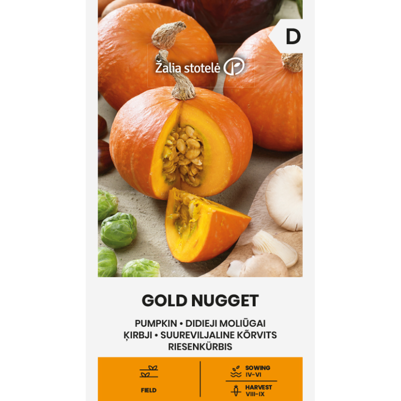 Calabaza Gold Nugget - Semillas
